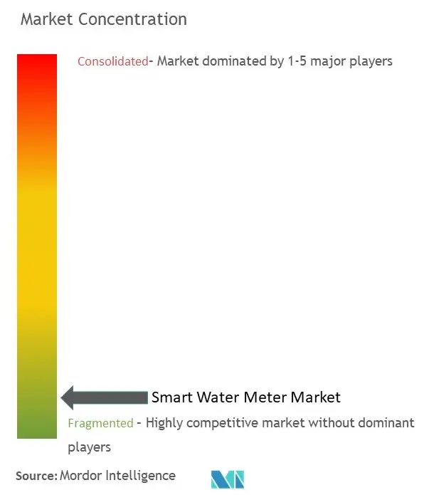 Concentración del mercado de medidores de agua inteligentes