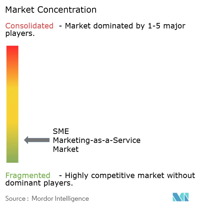 Concentración del Mercado de Marketing como Servicio para PYMEs