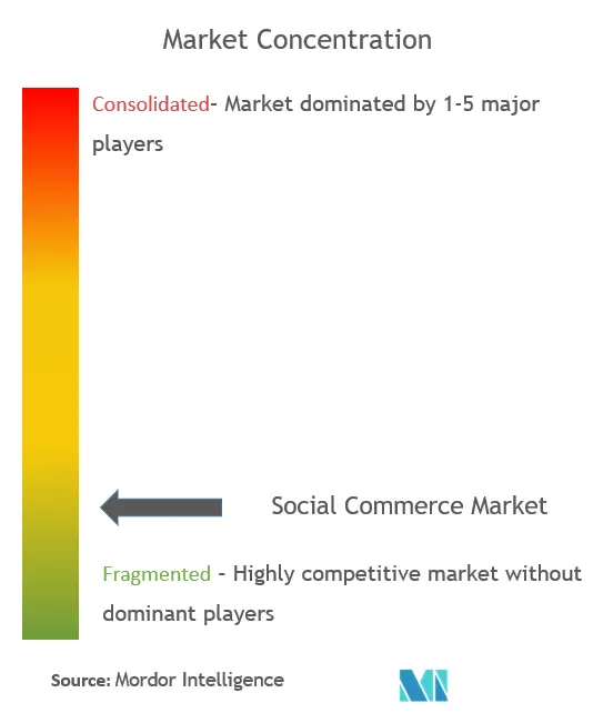 Social CommerceConcentration du marché