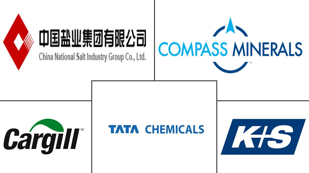 Sodium Chloride Market Major Players