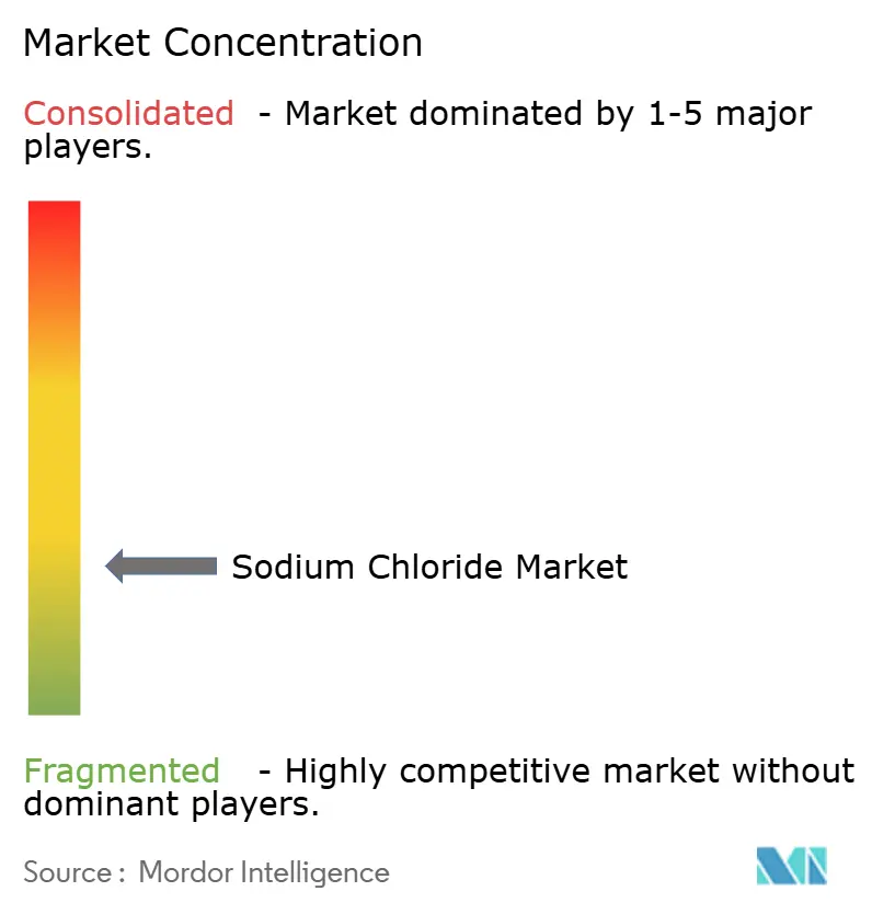 Sodium Chloride Market Concentration