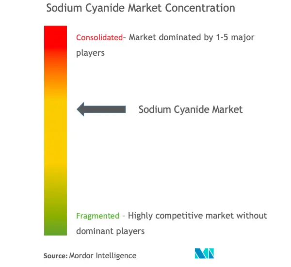 Sodium Cyanide Market Concentration