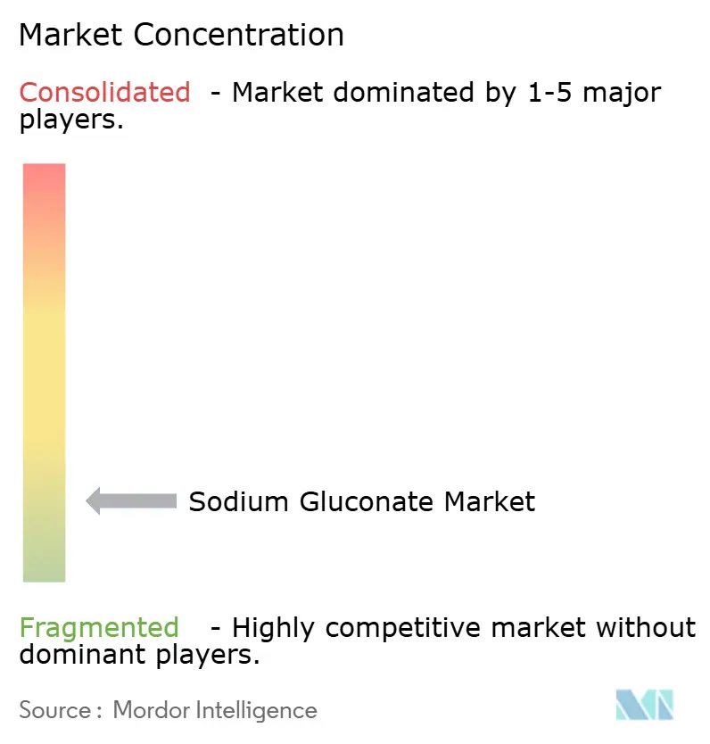 Sodium Gluconate Market Concentration