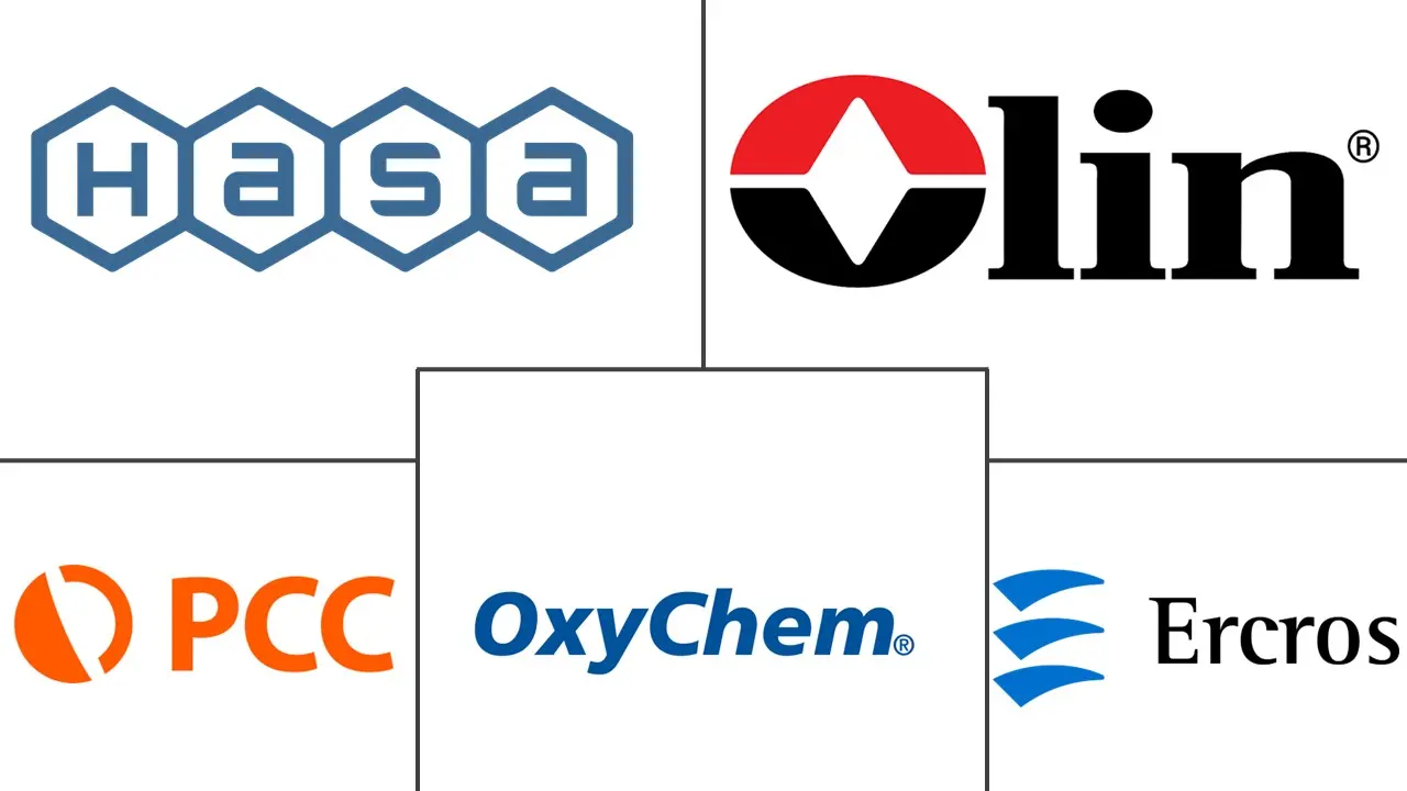 Principaux acteurs dans Marché du sodium hypochlorite industrie