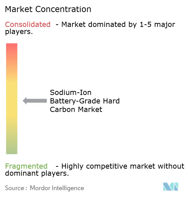Sodium-Ion Battery-Grade Hard Carbon Market Concentration