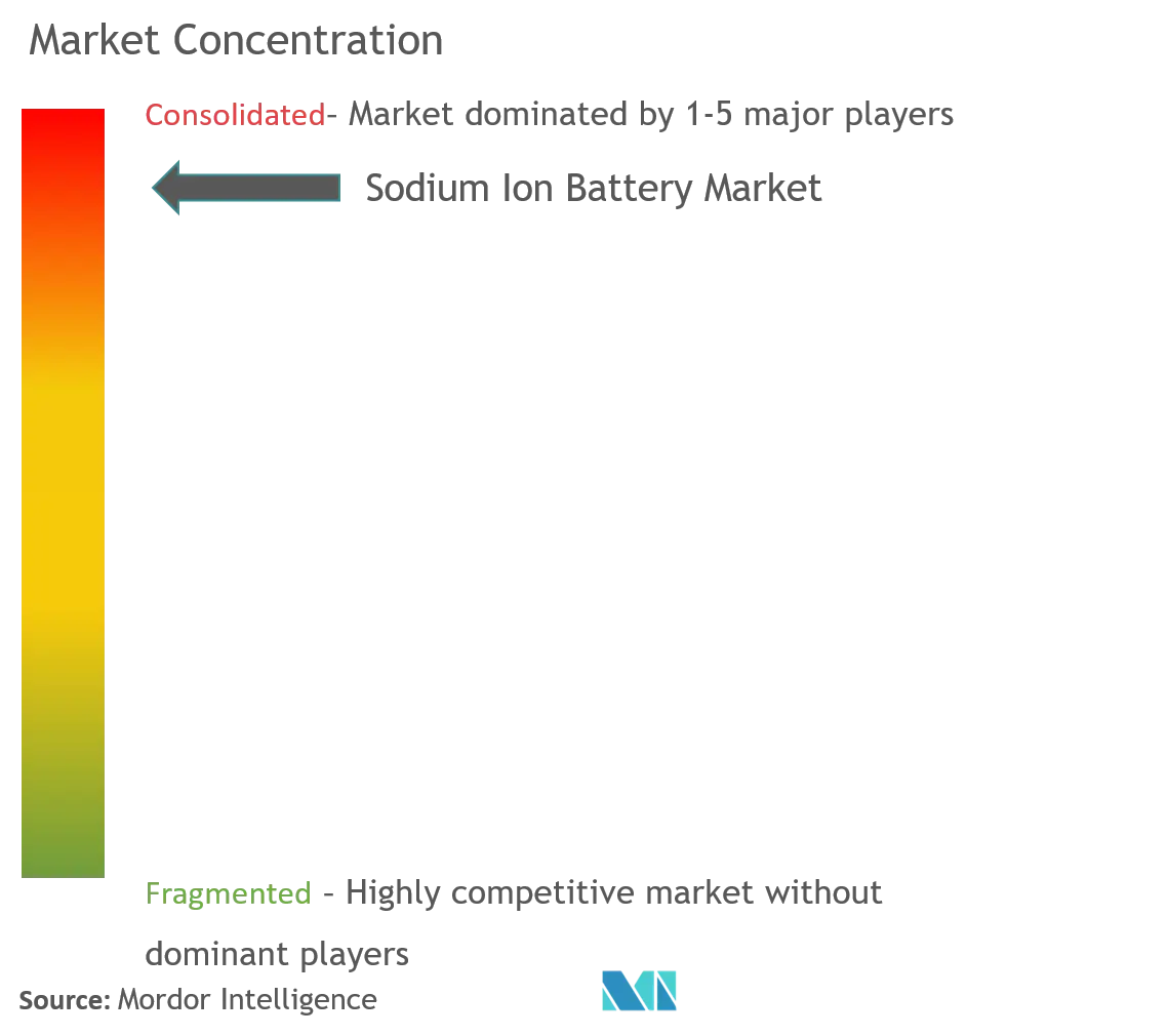 Faradion Limited、NGK Insulators Ltd、TIAMAT SAS、HiNa Battery Technology Co.Ltd.、Contemporary Amperex Technology Co.Ltd.