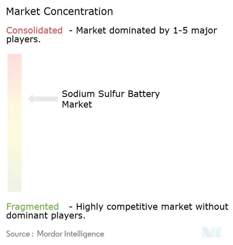 Sodium Sulfur Battery Market Concentration