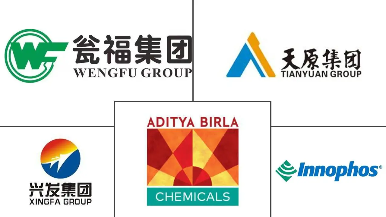 Principaux acteurs dans Marché du Tripolyphosphate de Sodium industrie
