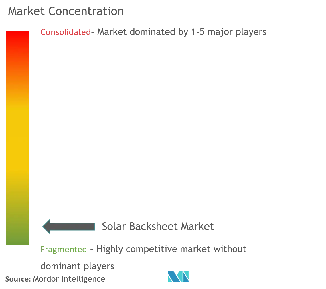 Solar Backsheet Market Concentration