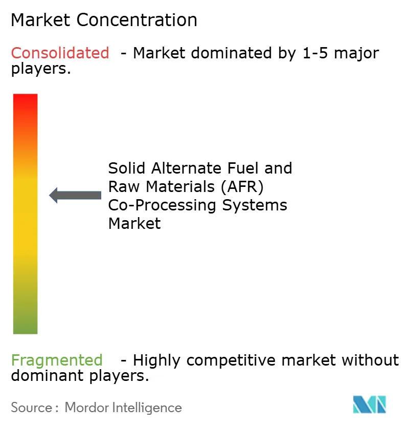 Concentración del Mercado de Sistemas de Coprocesamiento de Combustibles Alternativos Sólidos y Materias Primas (AFR)