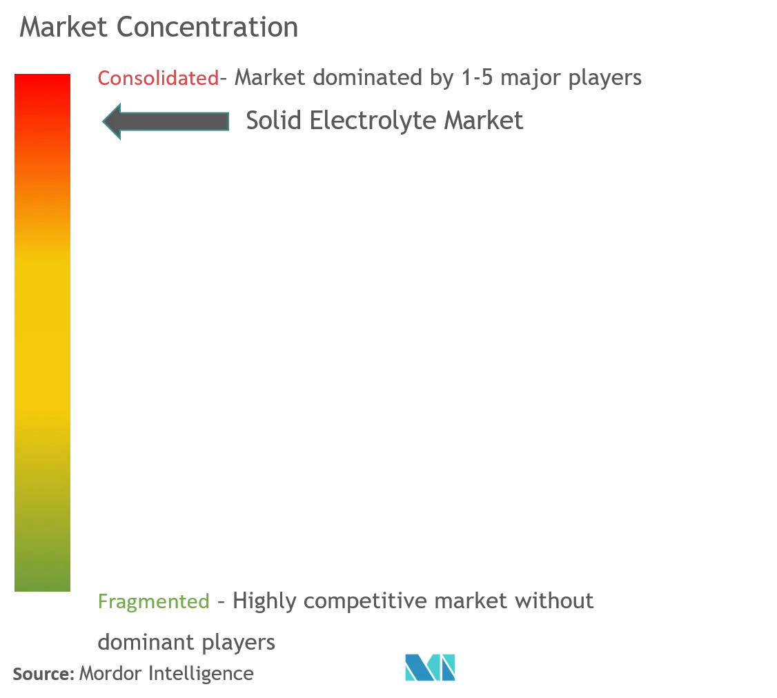 Fester ElektrolytMarktkonzentration