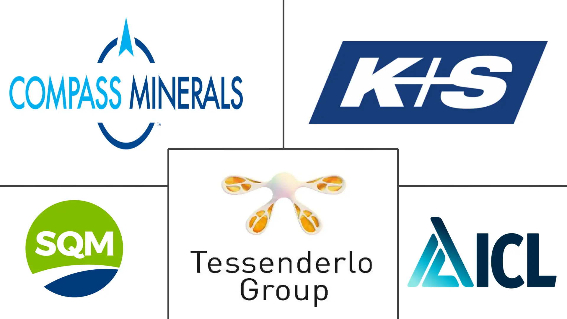 Major players in SOP Fertilizer industry