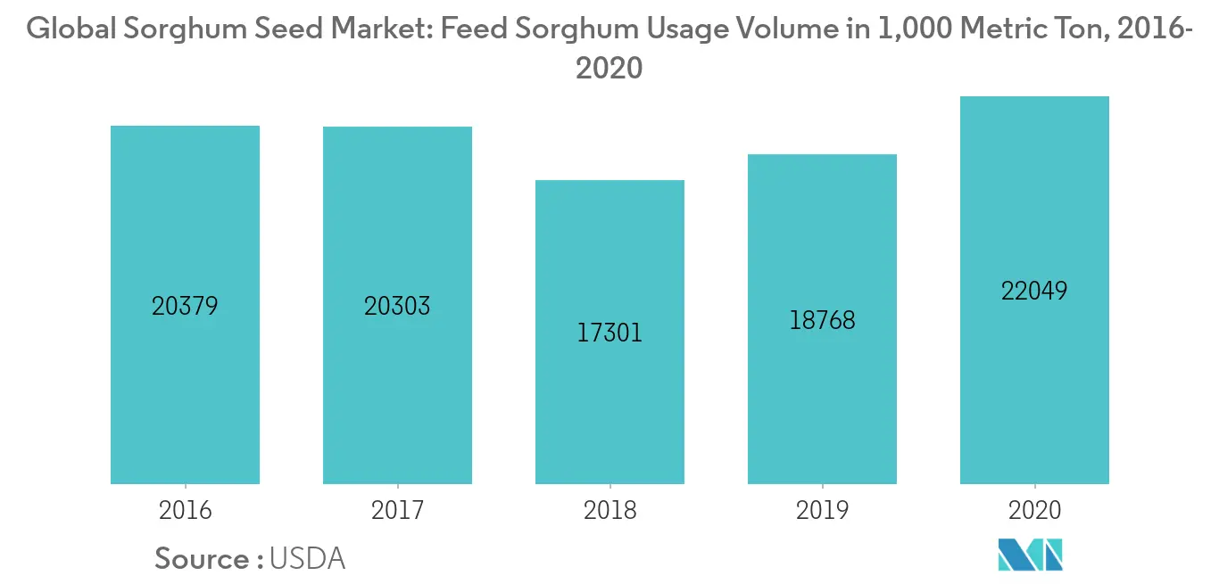 Sorghum Seeds Market -1