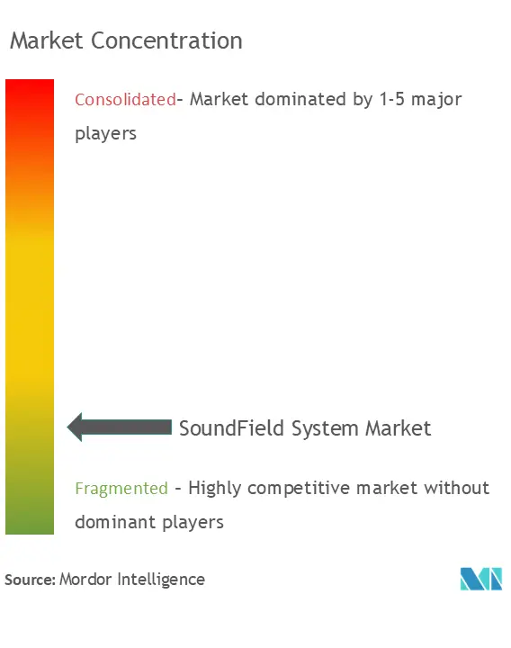 SoundField Systems Market Concentration