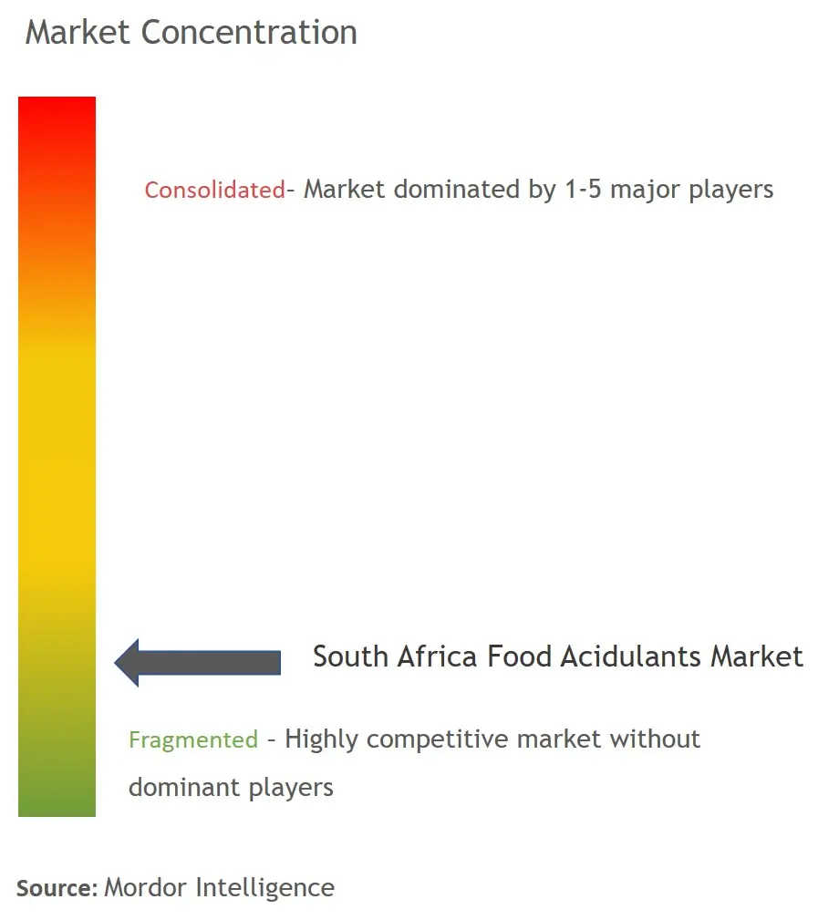 South Africa Acidulants Market Concentration