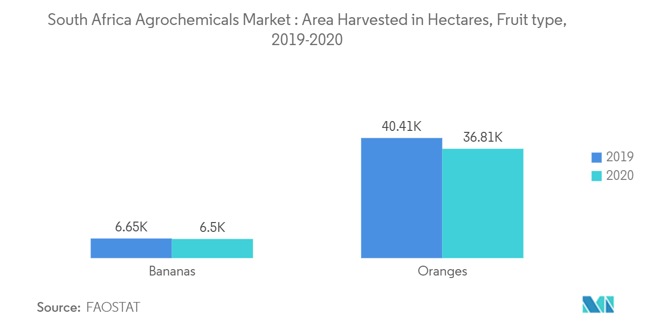 South Africa Agrochemicals Market : Area Harvested in Hectares, Fruit type, 2019-2020