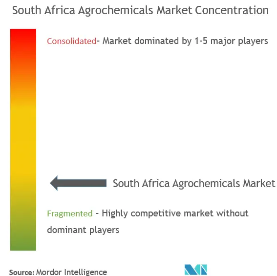 南アフリカ農薬市場の集中度