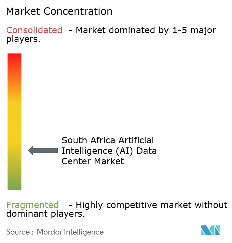 South Africa Artificial Intelligence (AI) Data Center Market Concentration
