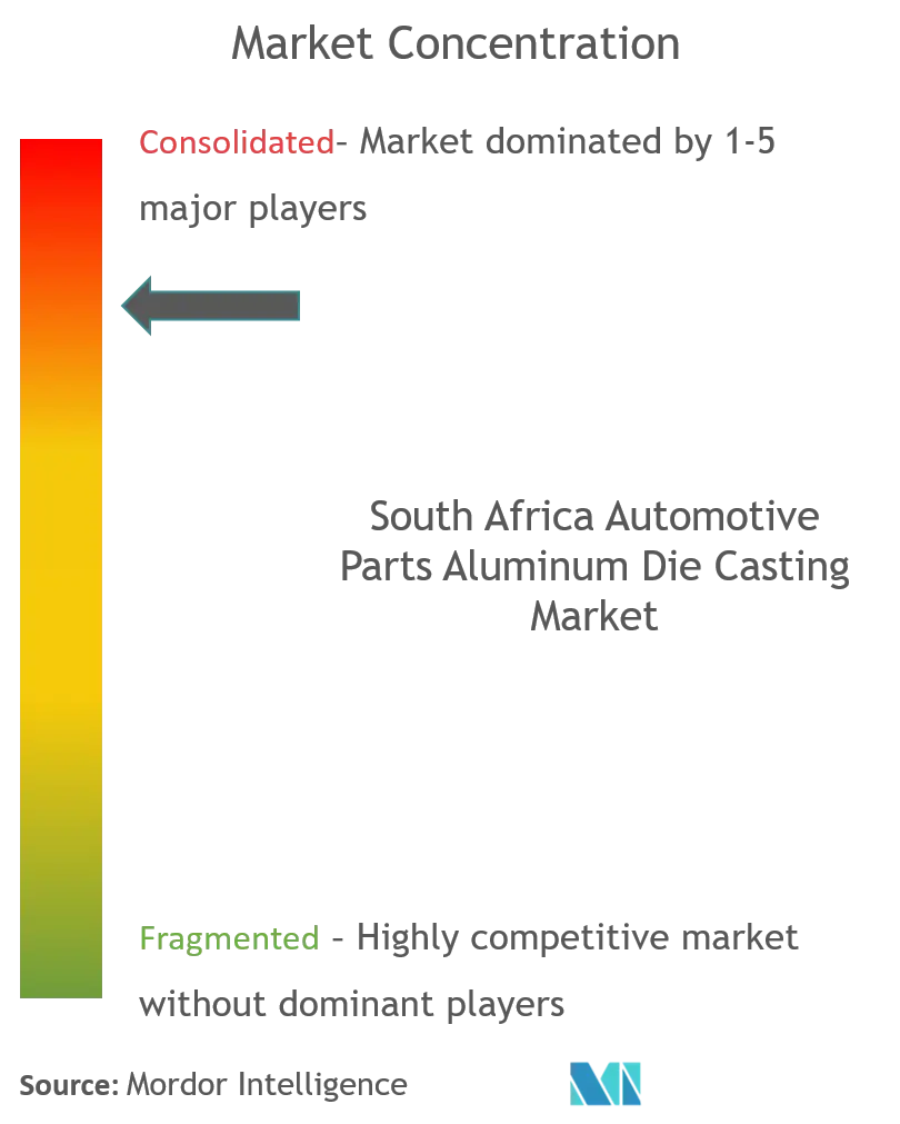 南アフリカの自動車部品アルミニウムダイカスト市場集中度