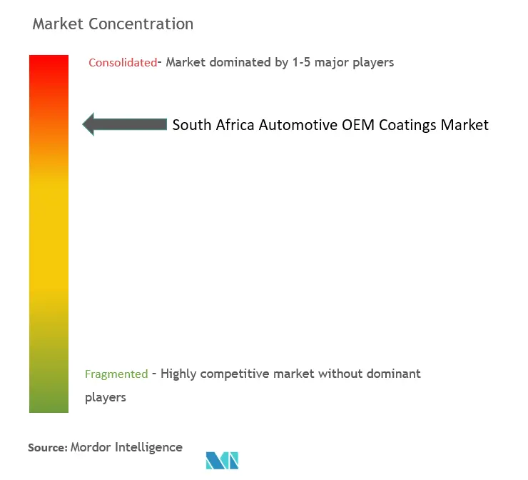 南アフリカの自動車OEMコーティング市場の集中
