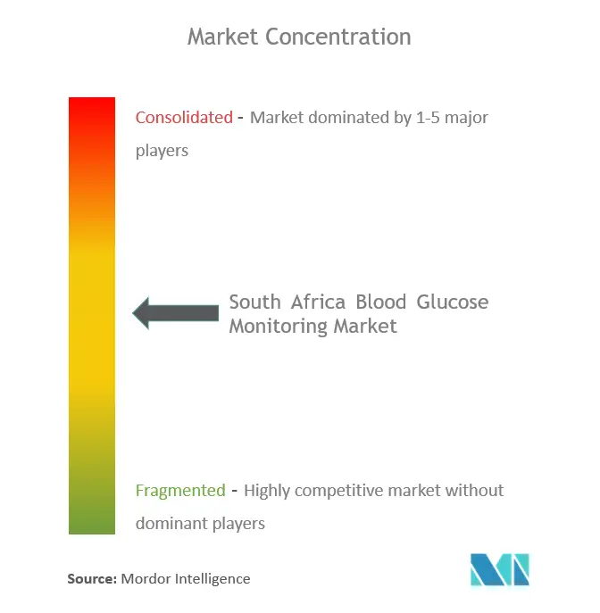 South Africa Blood Glucose Monitoring Market Concentration
