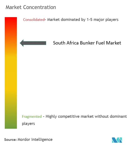 South Africa Bunker Fuel Market Concentration