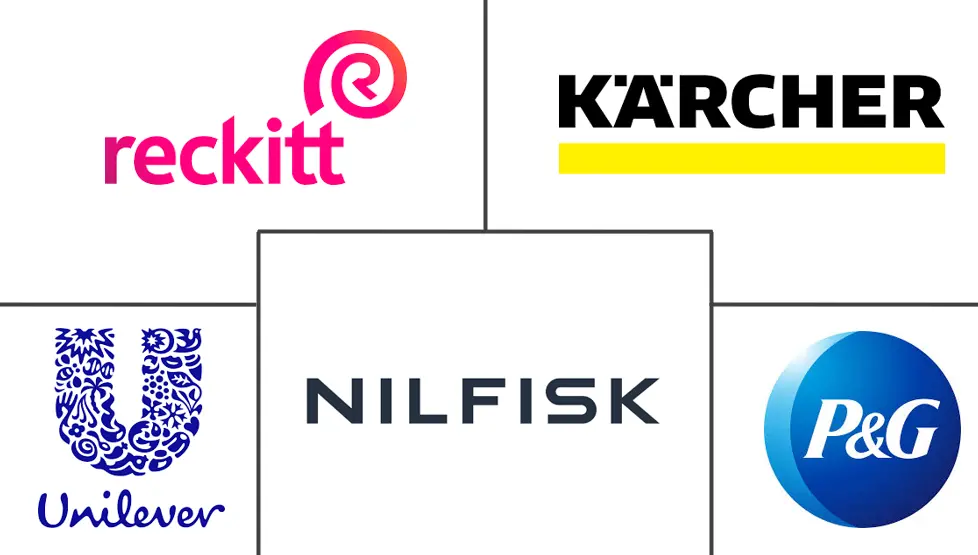 Major players in South Africa Cleaning Products industry