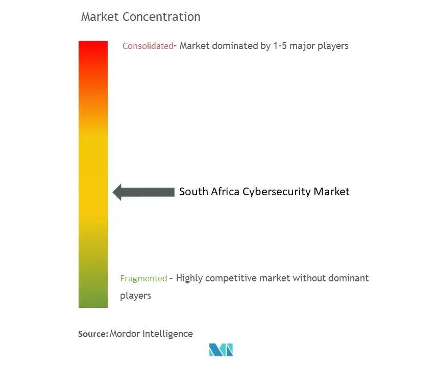 南アフリカのサイバーセキュリティ市場の集中