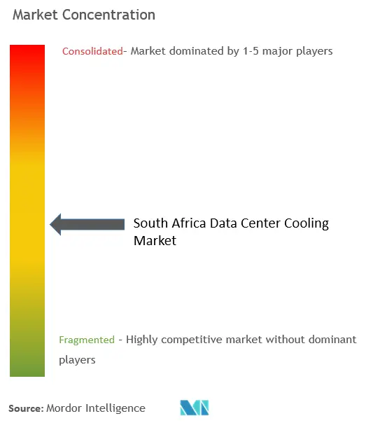 South Africa Data Center Cooling Market  Concentration