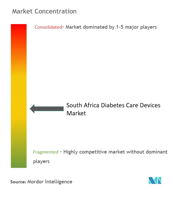 África do Sul Diabetes Care Devices Concentração de Mercado