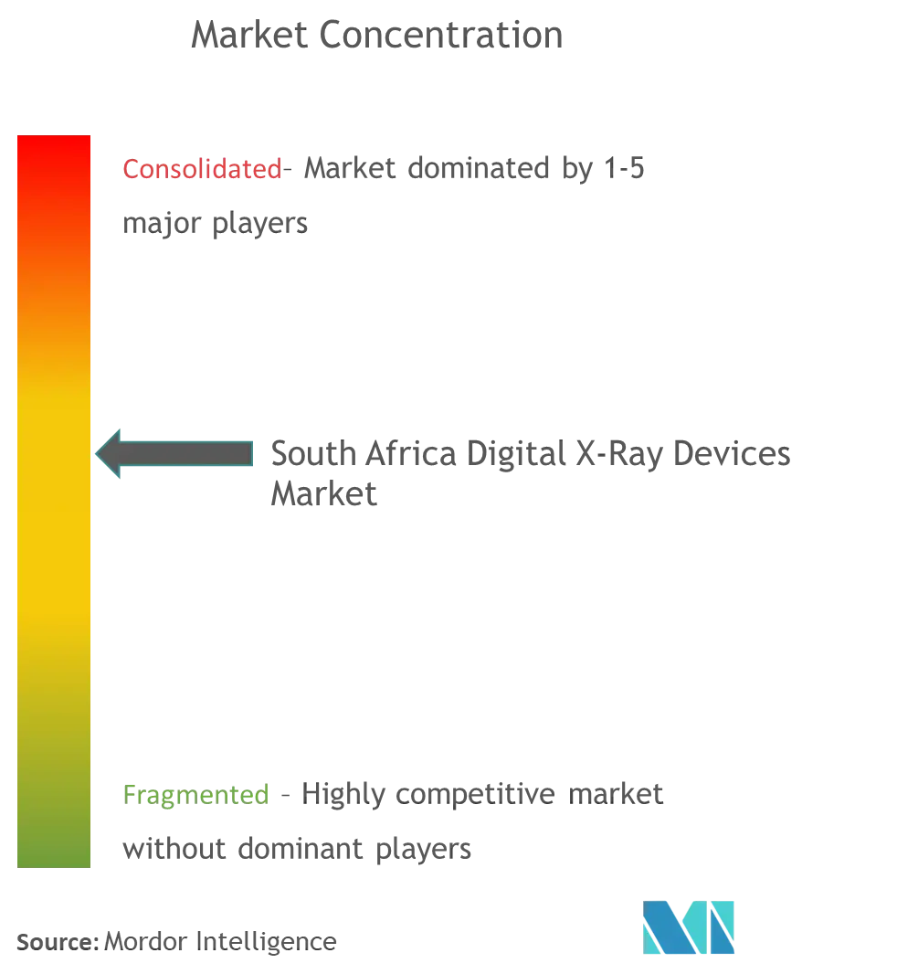 South Africa Digital X-Ray Devices Market Concentration
