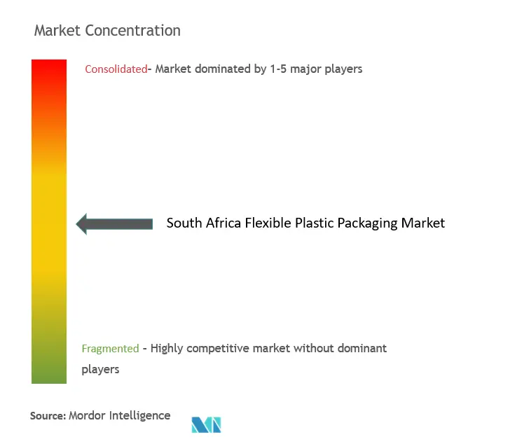 South Africa Flexible Plastic Packaging Market Concentration