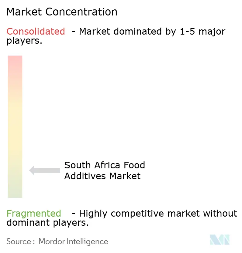South Africa Food Additives Market Concentration