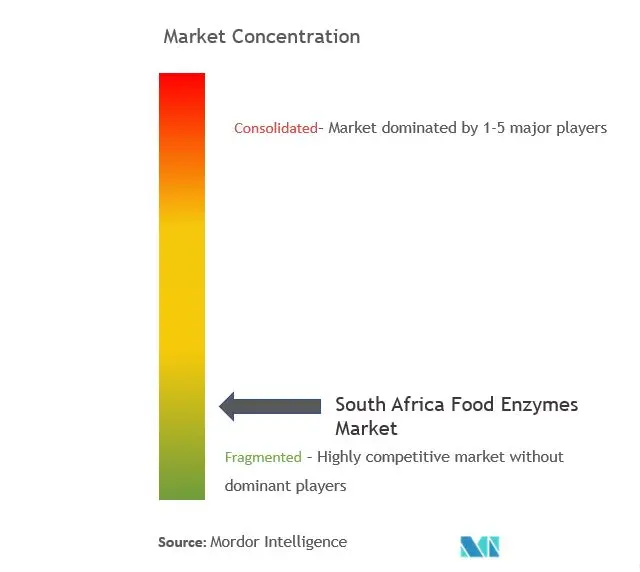 南アフリカの食物酵素市場集中度