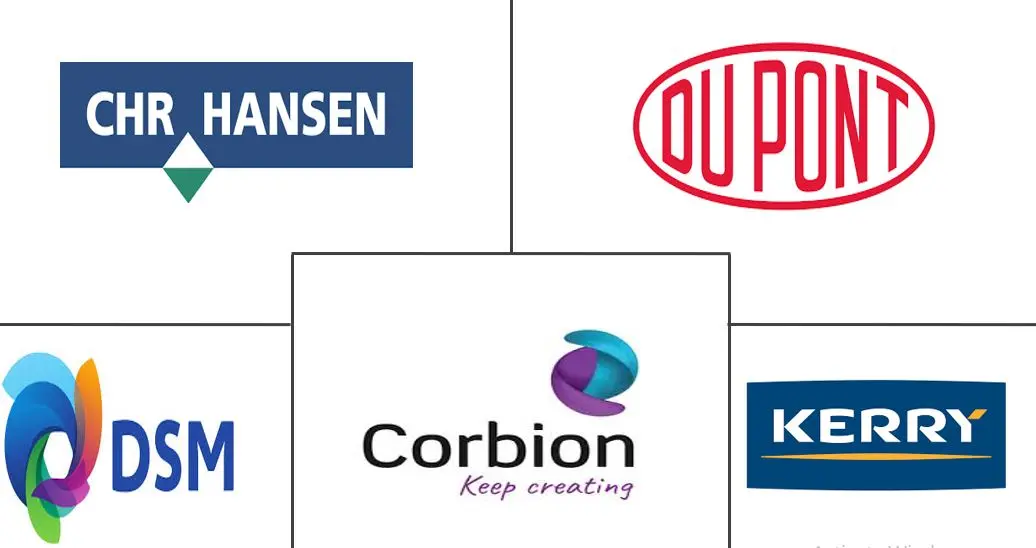  Südafrikanischer Markt für Lebensmittelenzyme Major Players