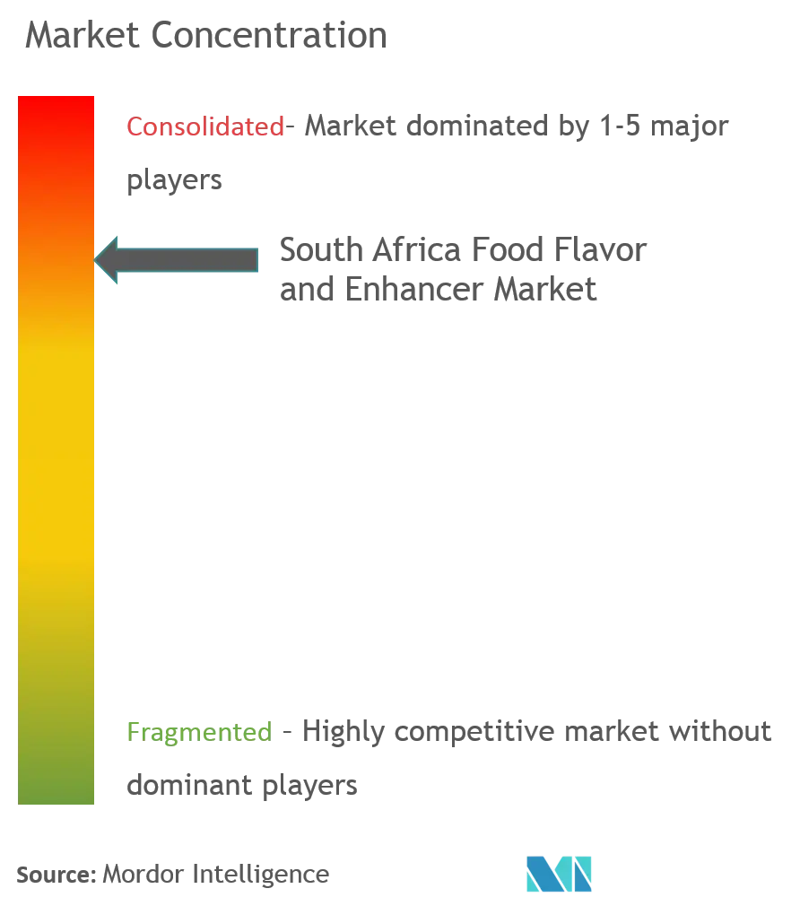 Sabor y potenciador de alimentos de SudáfricaConcentración del Mercado