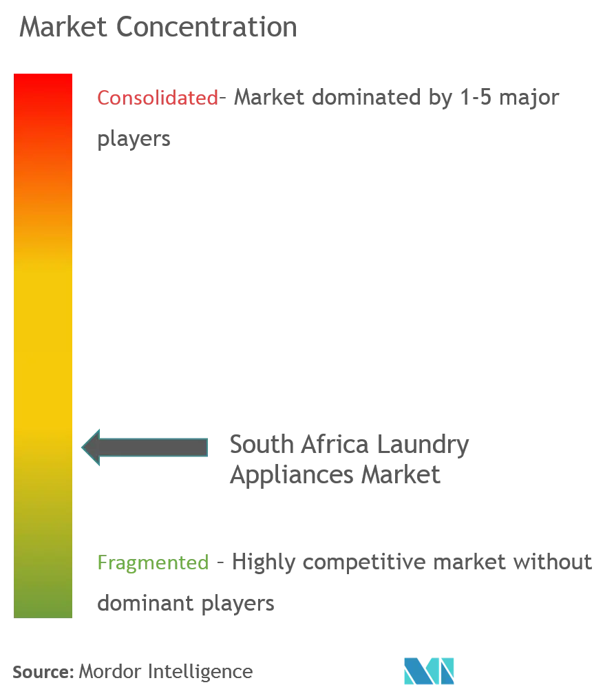 Concentração do mercado de eletrodomésticos para lavanderia na África do Sul