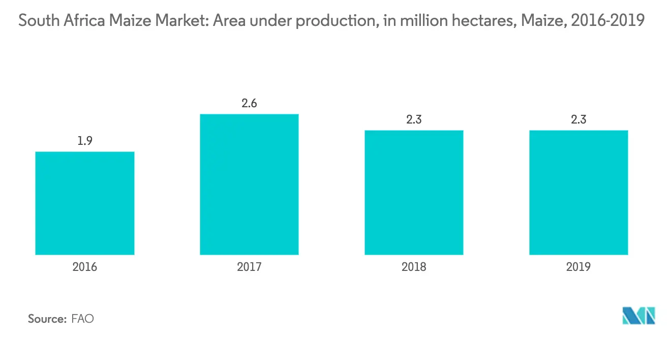 maize production in South Africa