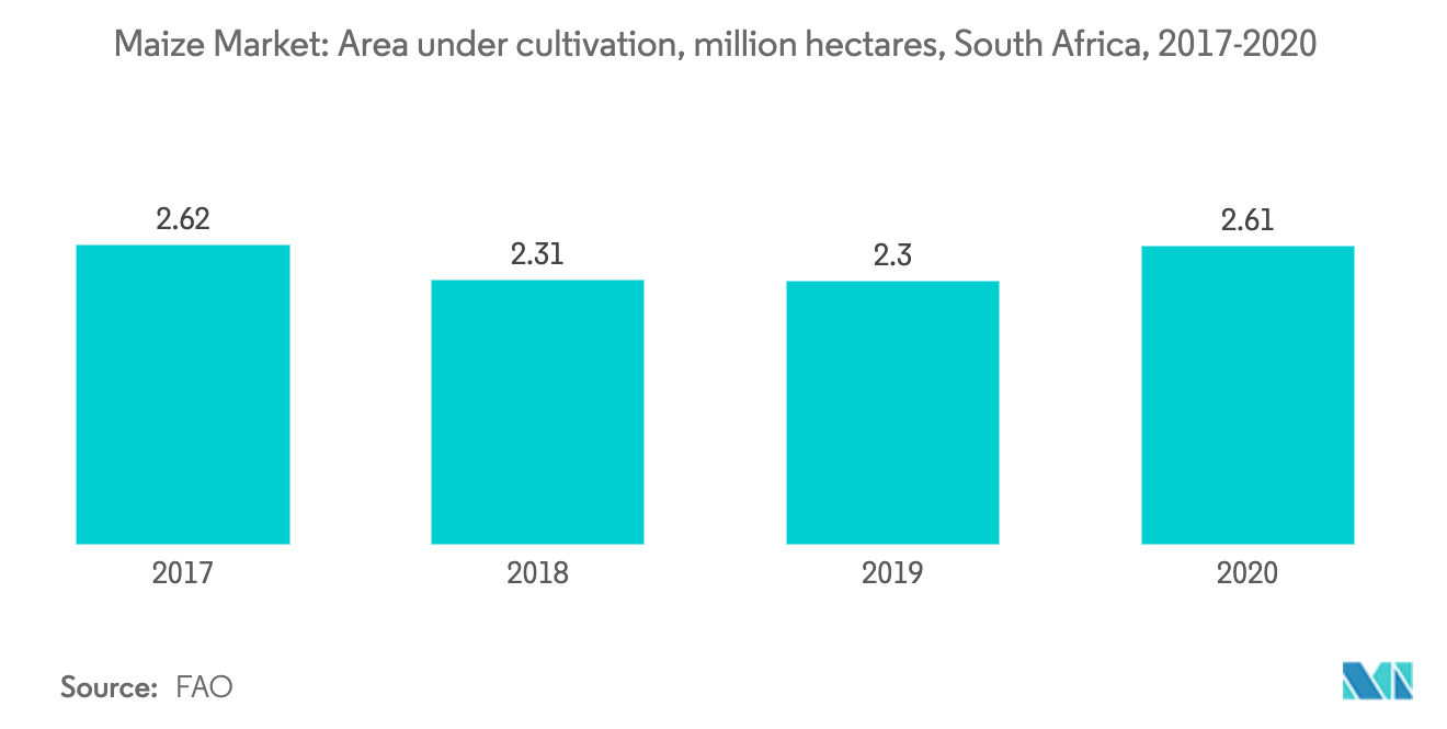 South Africa Maize Market trends