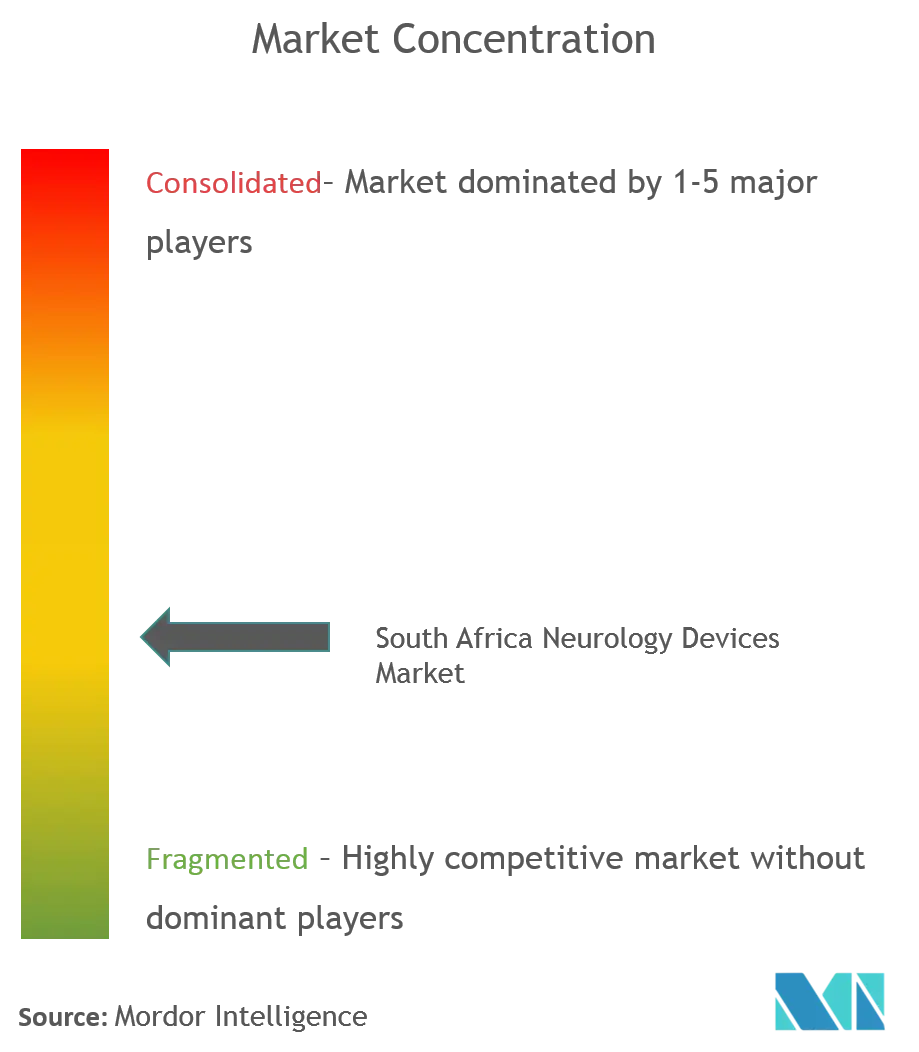 South Africa Neurology Devices Market Concentration