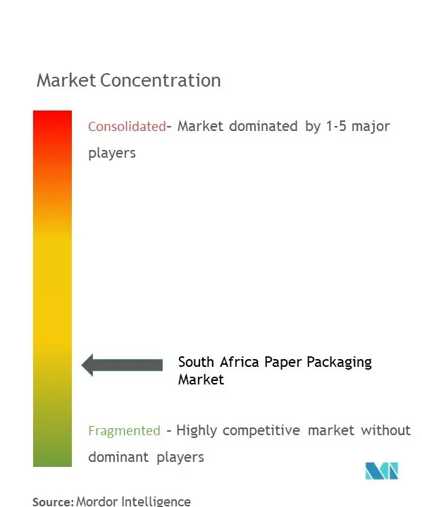 South Africa Paper Packaging Market competiavtive landsacpe1.jpg