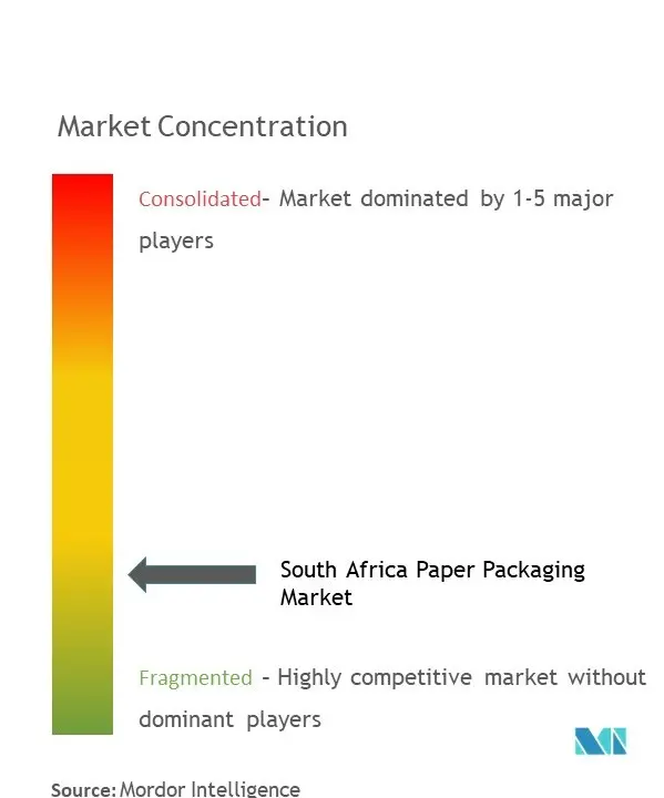 南アフリカの紙包装市場集中度