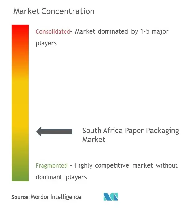South Africa Paper Packaging Market Concentration