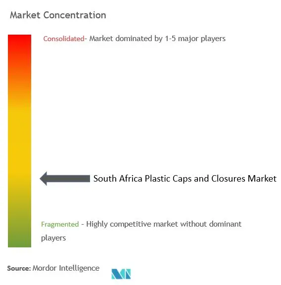 South Africa  Plastic Caps And Closures Market Concentration