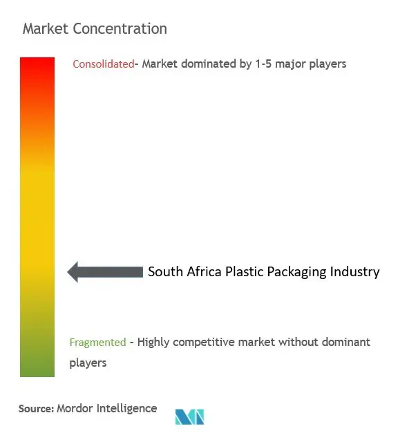 South Africa Plastic Packaging Market Concentration