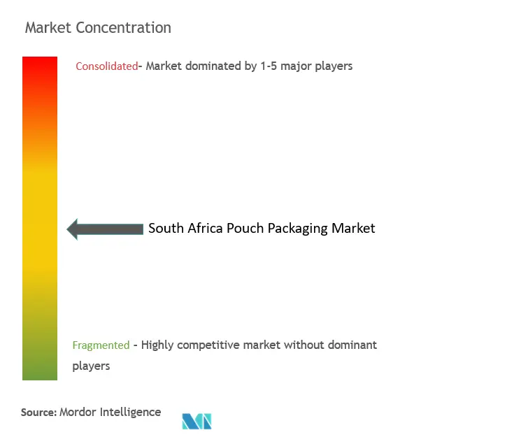 South Africa Pouch Packaging Market Concentration