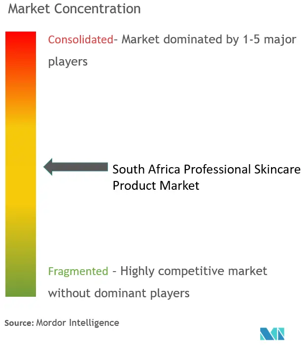 South Africa Professional Skincare Product Market Concentration