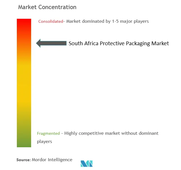 南アフリカの保護包装市場の集中