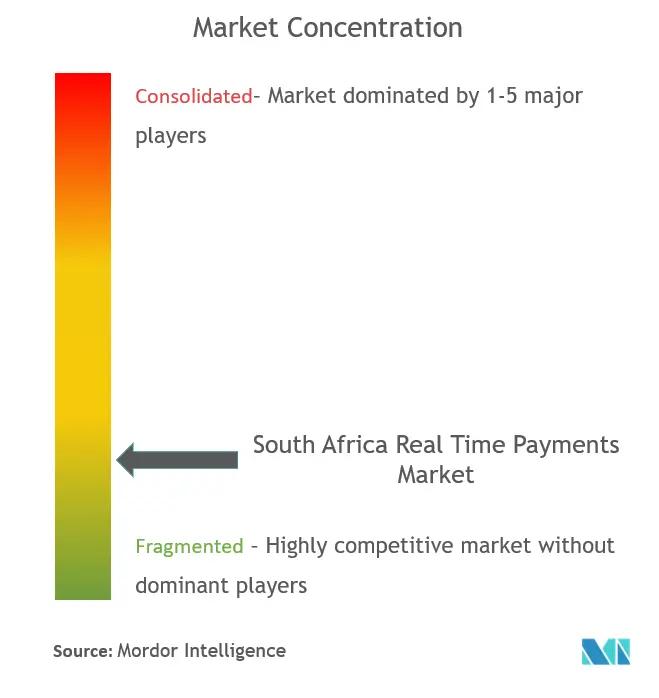 South Africa Real Time Payments Market Concentration