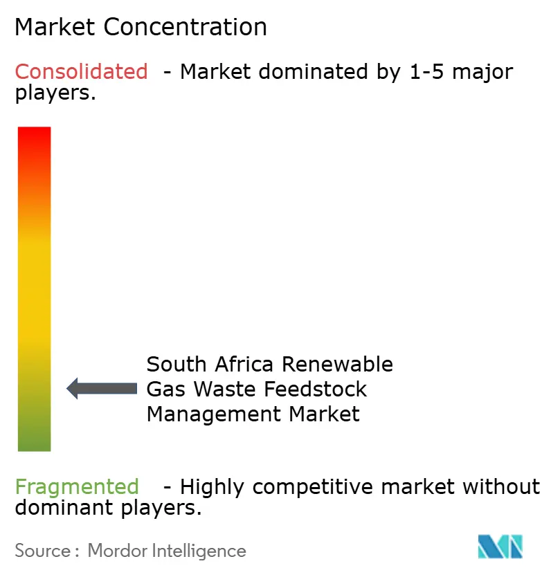 South Africa Renewable Gas Waste Feedstock Management Market Concentration